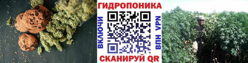 Купить где  Сарапул  Печенье с ТГК конопля 