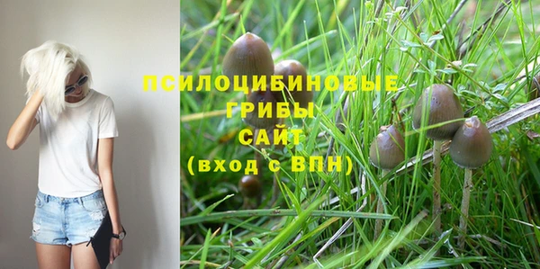 МДПВ Куйбышев