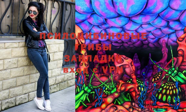 ГАЛЛЮЦИНОГЕННЫЕ ГРИБЫ Кулебаки