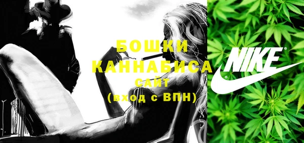 ГАЛЛЮЦИНОГЕННЫЕ ГРИБЫ Кулебаки