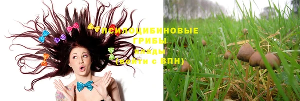 ГАЛЛЮЦИНОГЕННЫЕ ГРИБЫ Кулебаки